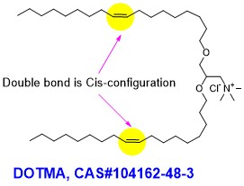DOTMA 104162-48-3